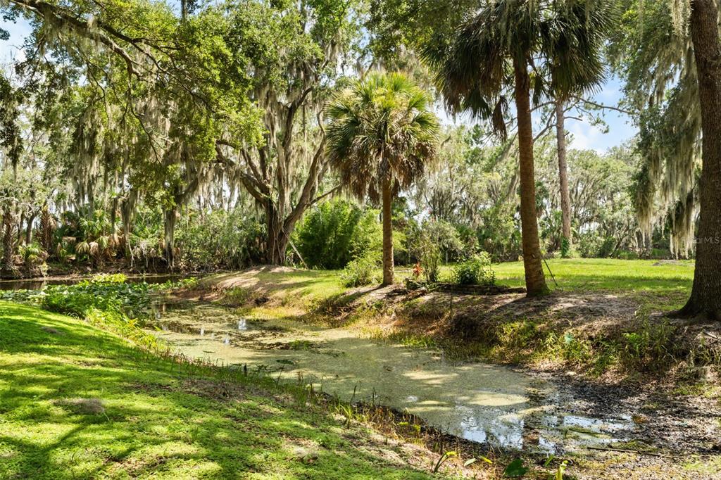 7938 Jacksons River Road Leesburg, FL 34788 - Photo 36 of 43