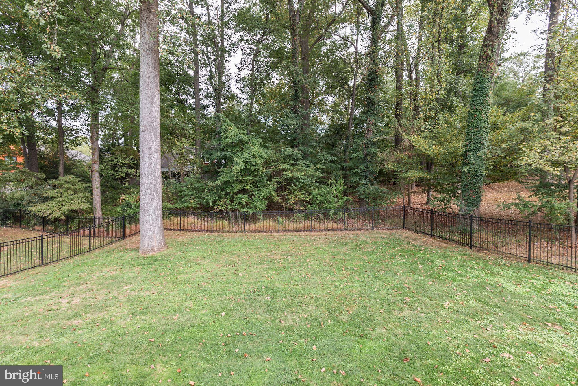 1905 MacArthur Drive McLean, VA 22101 - Photo 43 of 53