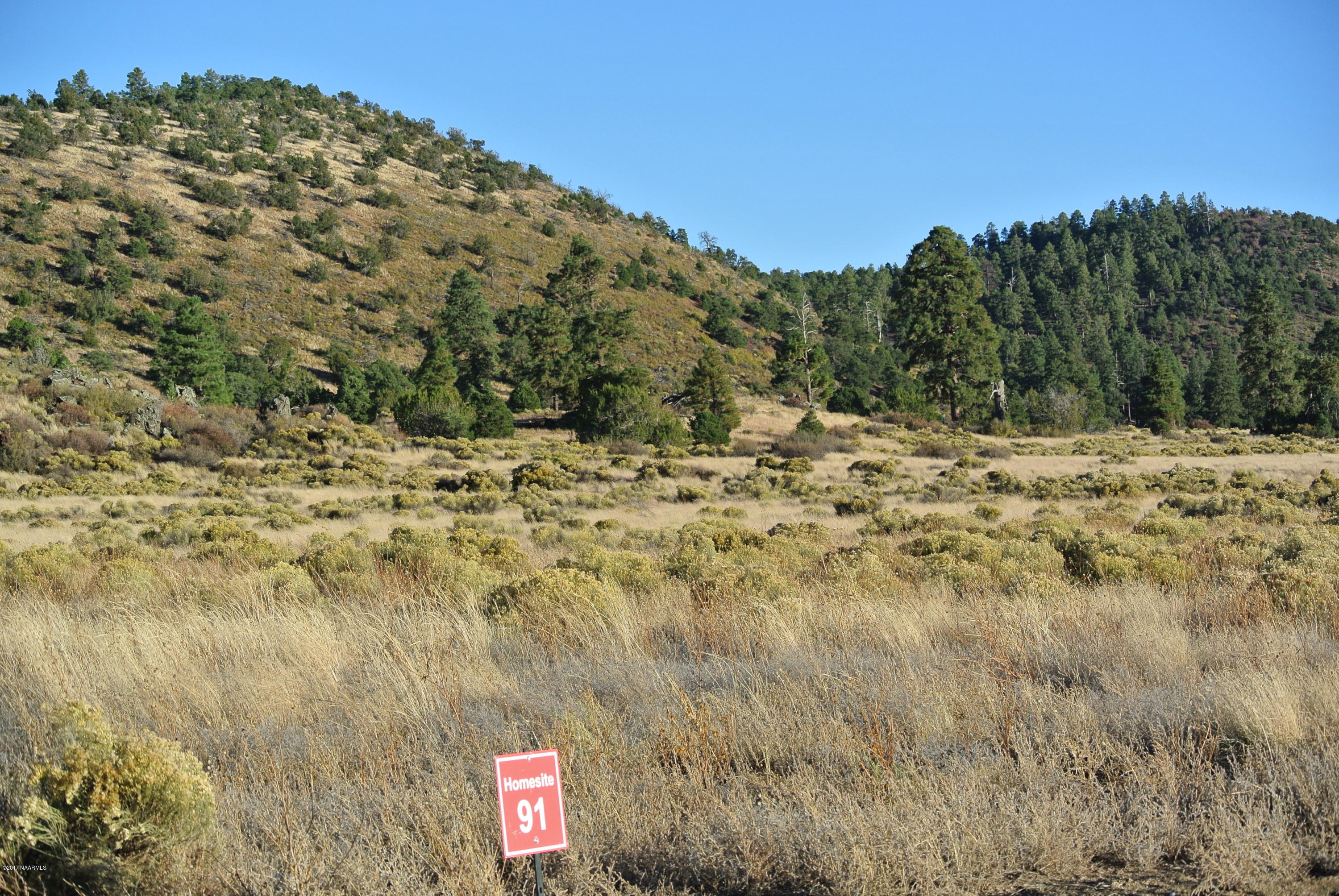 9921 Girard Road Flagstaff, AZ 86004 - Photo 1 of 10 91-2