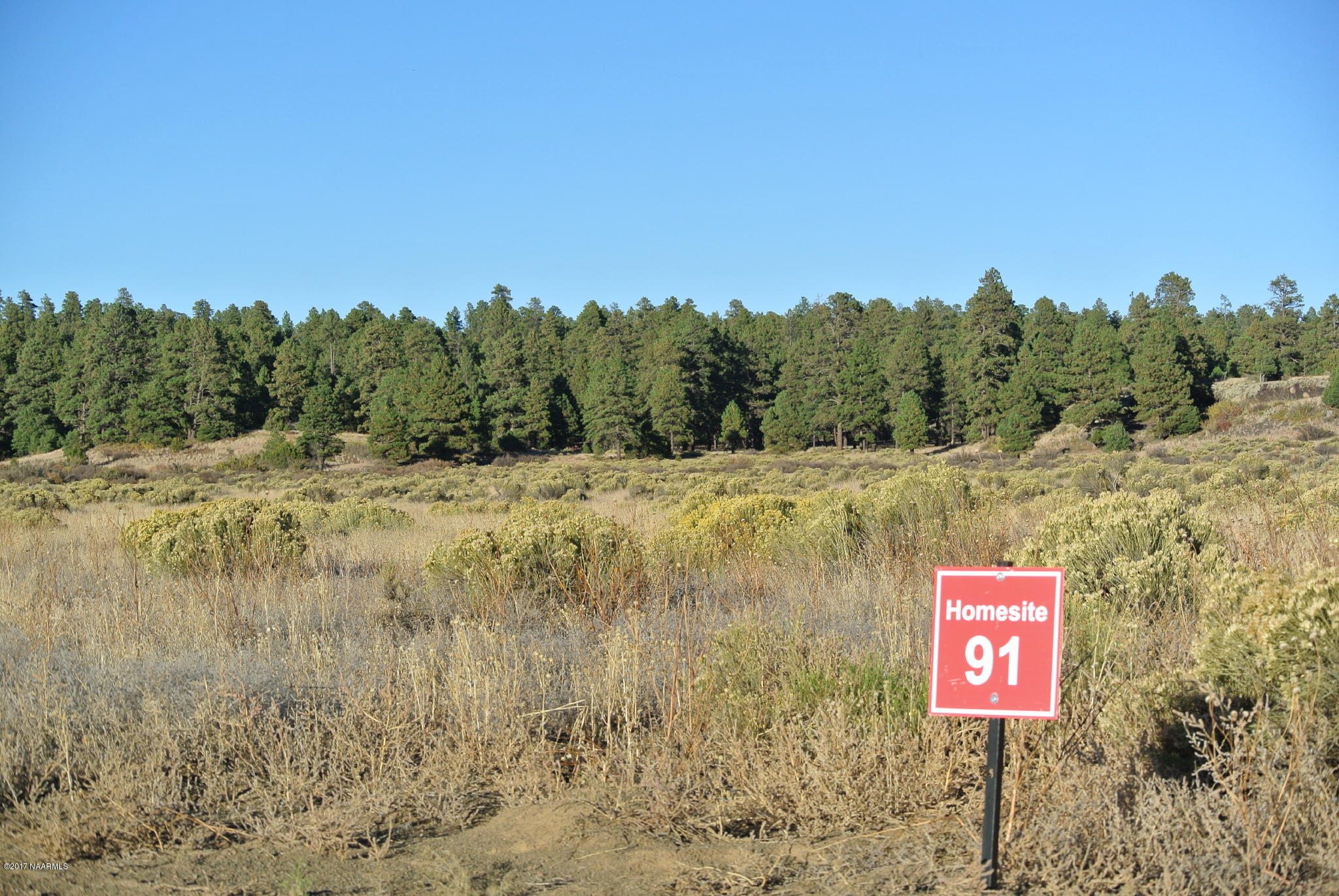 9921 Girard Road Flagstaff, AZ 86004 - Photo 3 of 10 80