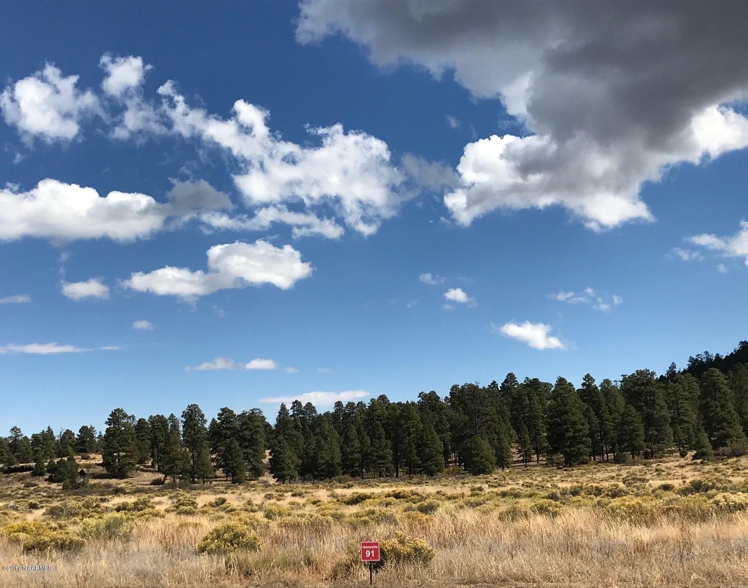 9921 Girard Road Flagstaff, AZ 86004 - Photo 4 of 10 91-1