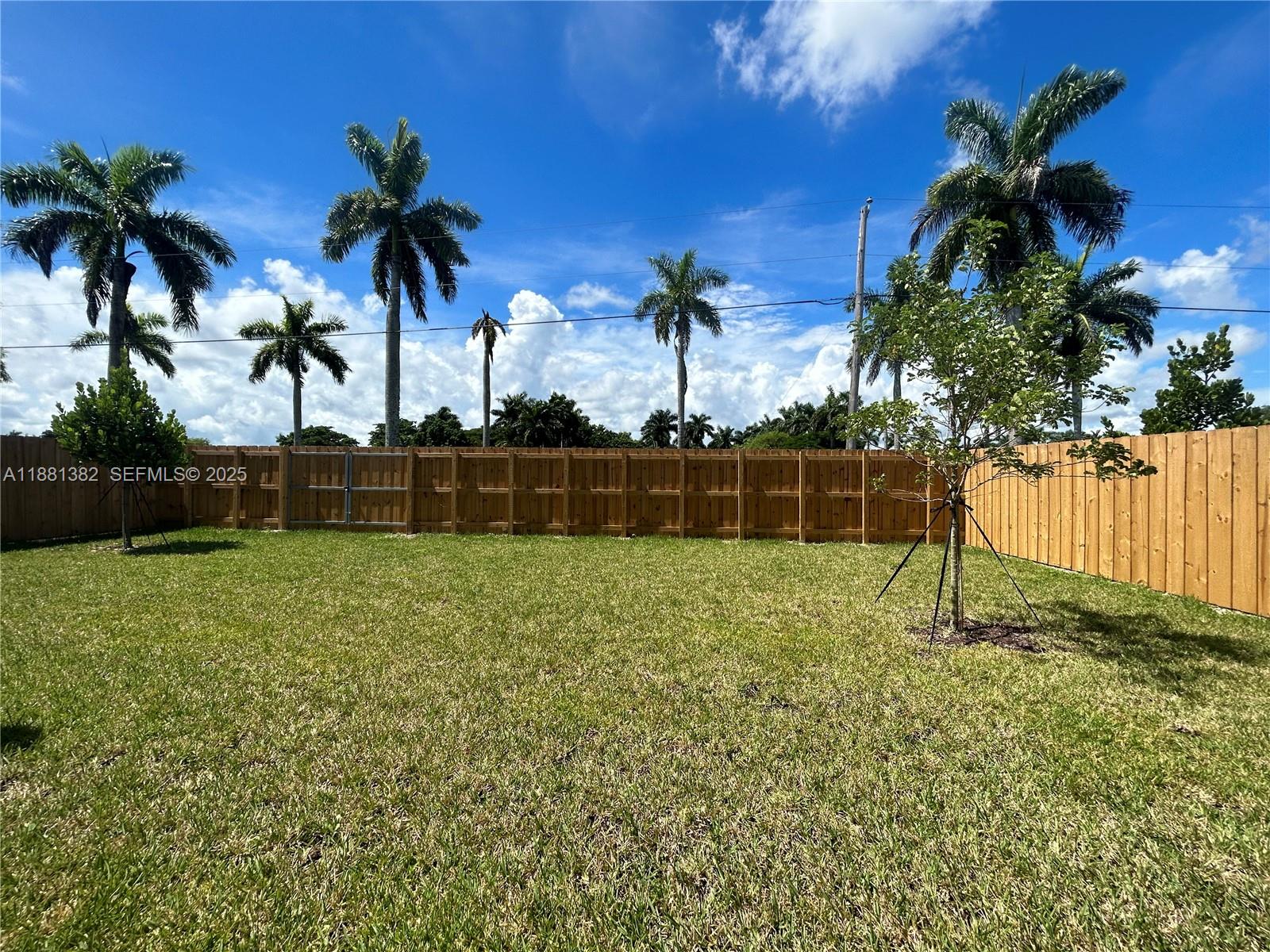 24030 Southwest 119th Place Homestead, FL 33032 - Photo 15 of 15 a view of a yard with a palm tree