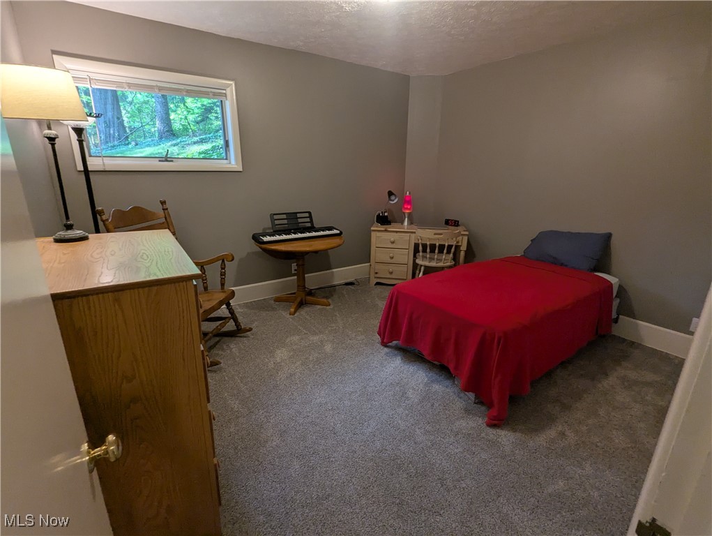 336 River Road Hinckley, OH 44233 - Photo 30 of 39 Gallery Image 30