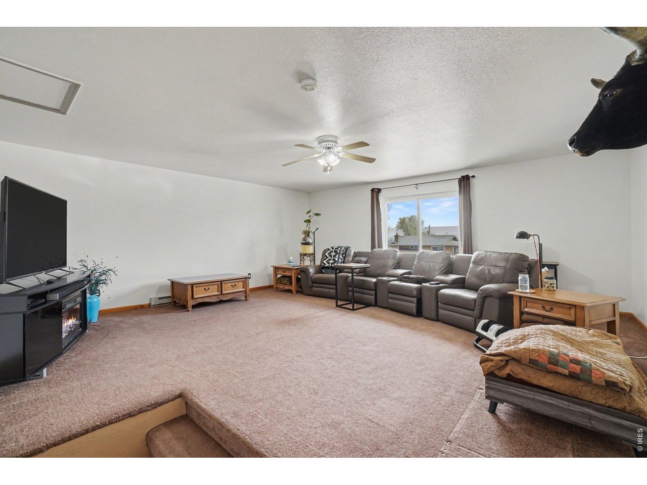 205 6th Street Mead, CO 80542 - Photo 12 of 37 Huge Great Room