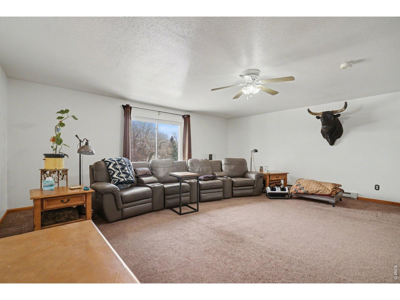 205 6th Street Mead, CO 80542 - Photo 13 of 37