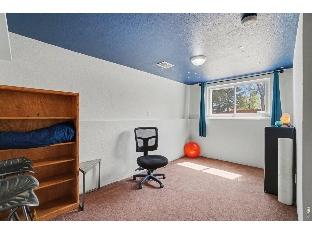 205 6th Street Mead, CO 80542 - Photo 26 of 37 Bedroom or bonus room on lower level