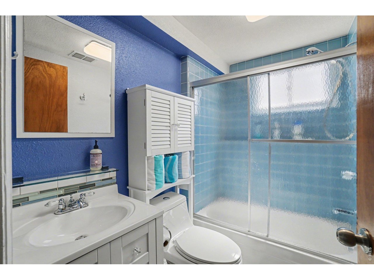 205 6th Street Mead, CO 80542 - Photo 28 of 37 Shared bathroom on lower level