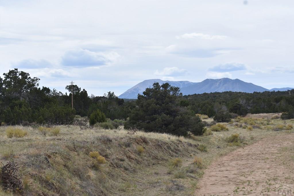 87-119 Twin Lakes Road Walsenburg, CO 81089 - Photo 12 of 21