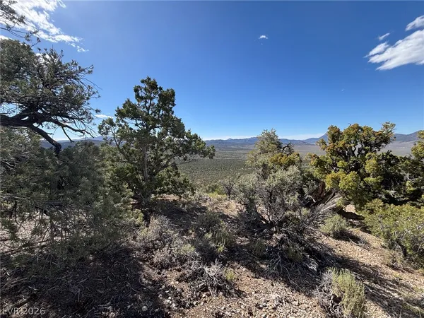 $25,000 | Off Of Lackawana Road, Ely, NV 89301