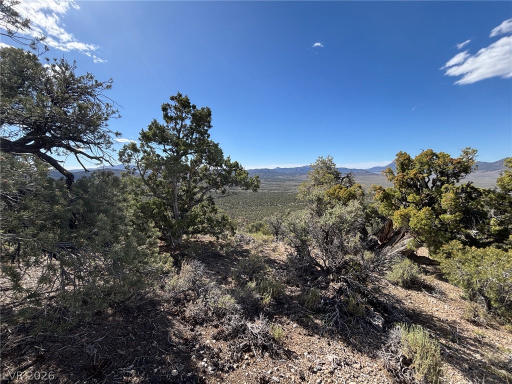 A sprawling high desert vista unfolds beneath a wide open, unblemished blue sky.