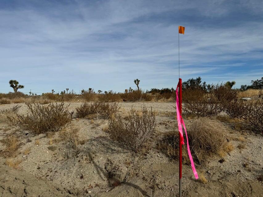55th Palmdale, CA 93550 - Photo 2 of 7 a view of a outdoor space