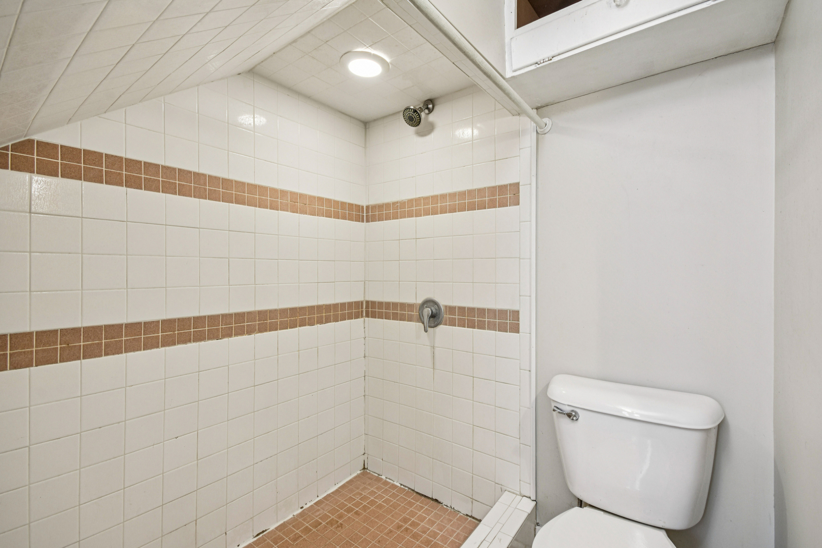 1246 Wauponsee Street Morris, IL 60450 - Photo 31 of 45 a bathroom with a shower and toilet