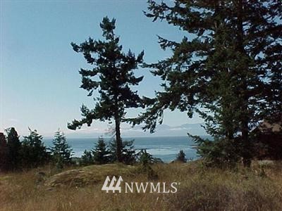 L2 A Paradise Road Lopez Island, WA 98261 - Photo 1 of 1