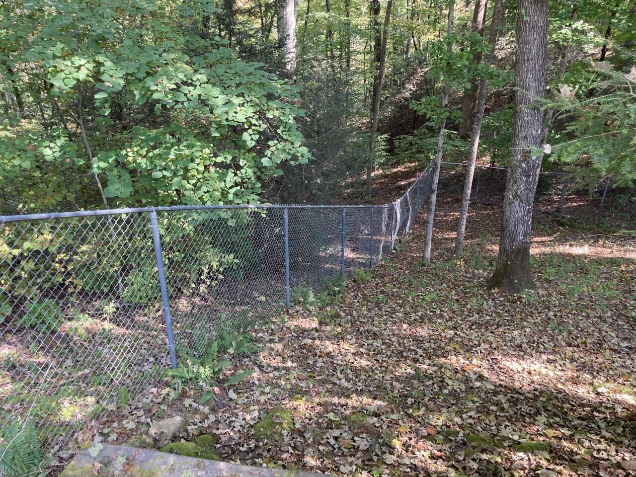 90 Sunset Point Crossville, TN 38571 - Photo 34 of 34 WOODED VIEW