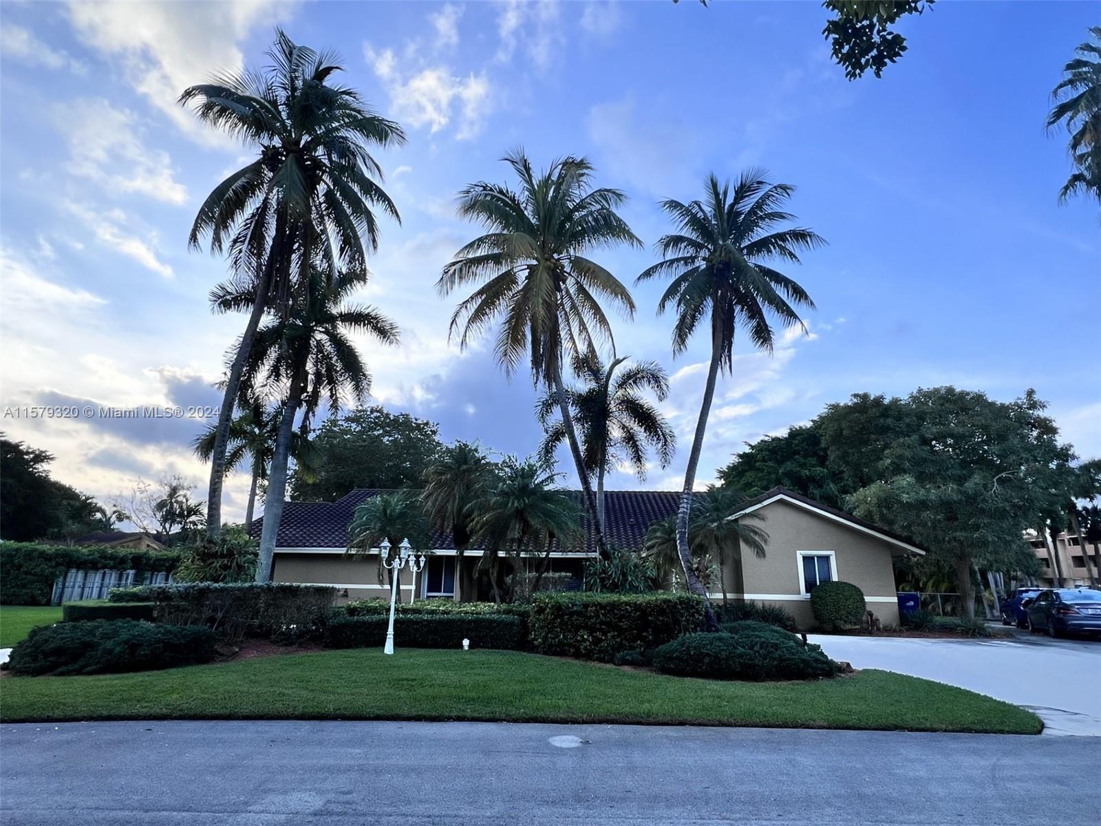 a palm tree sitting in front of a house with a garden