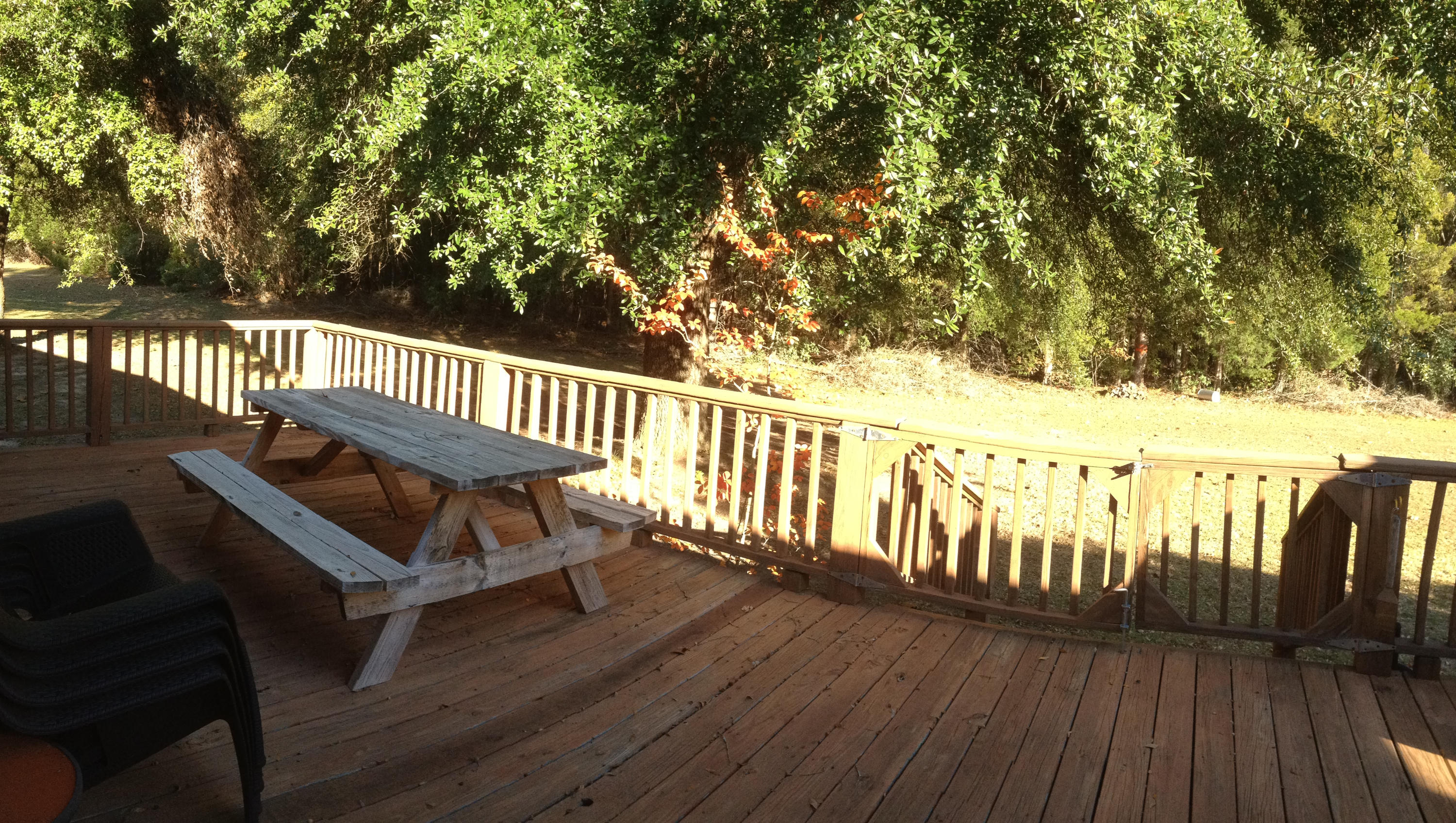 321 Samuel Drive Springfield, SC 29146 - Photo 11 of 17 Back Deck