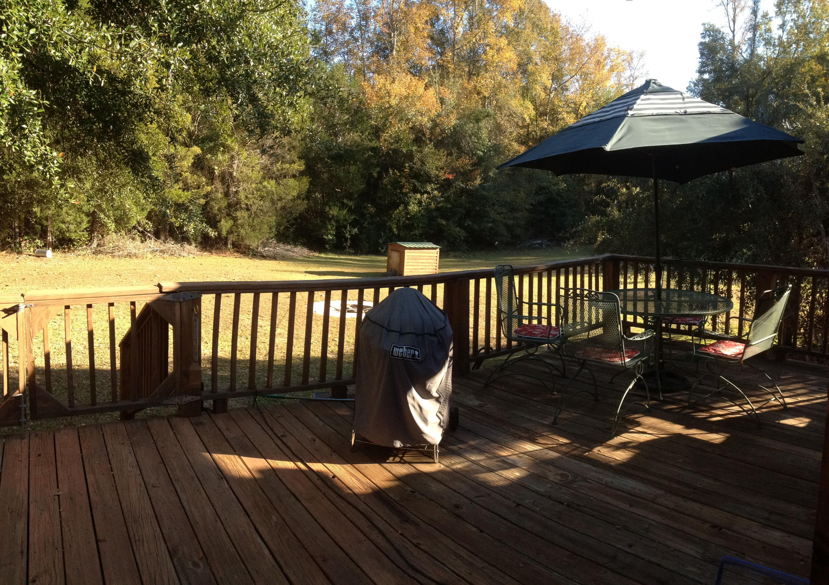 321 Samuel Drive Springfield, SC 29146 - Photo 12 of 17 Back Deck II