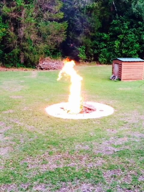 321 Samuel Drive Springfield, SC 29146 - Photo 16 of 17 Backyard Fire Pit