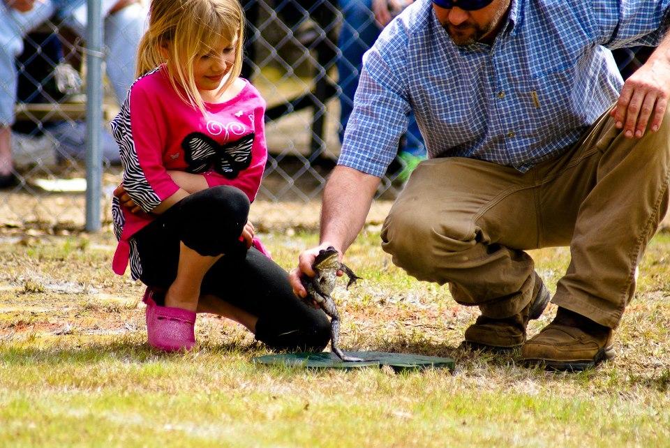 321 Samuel Drive Springfield, SC 29146 - Photo 17 of 17 springfield frog jump