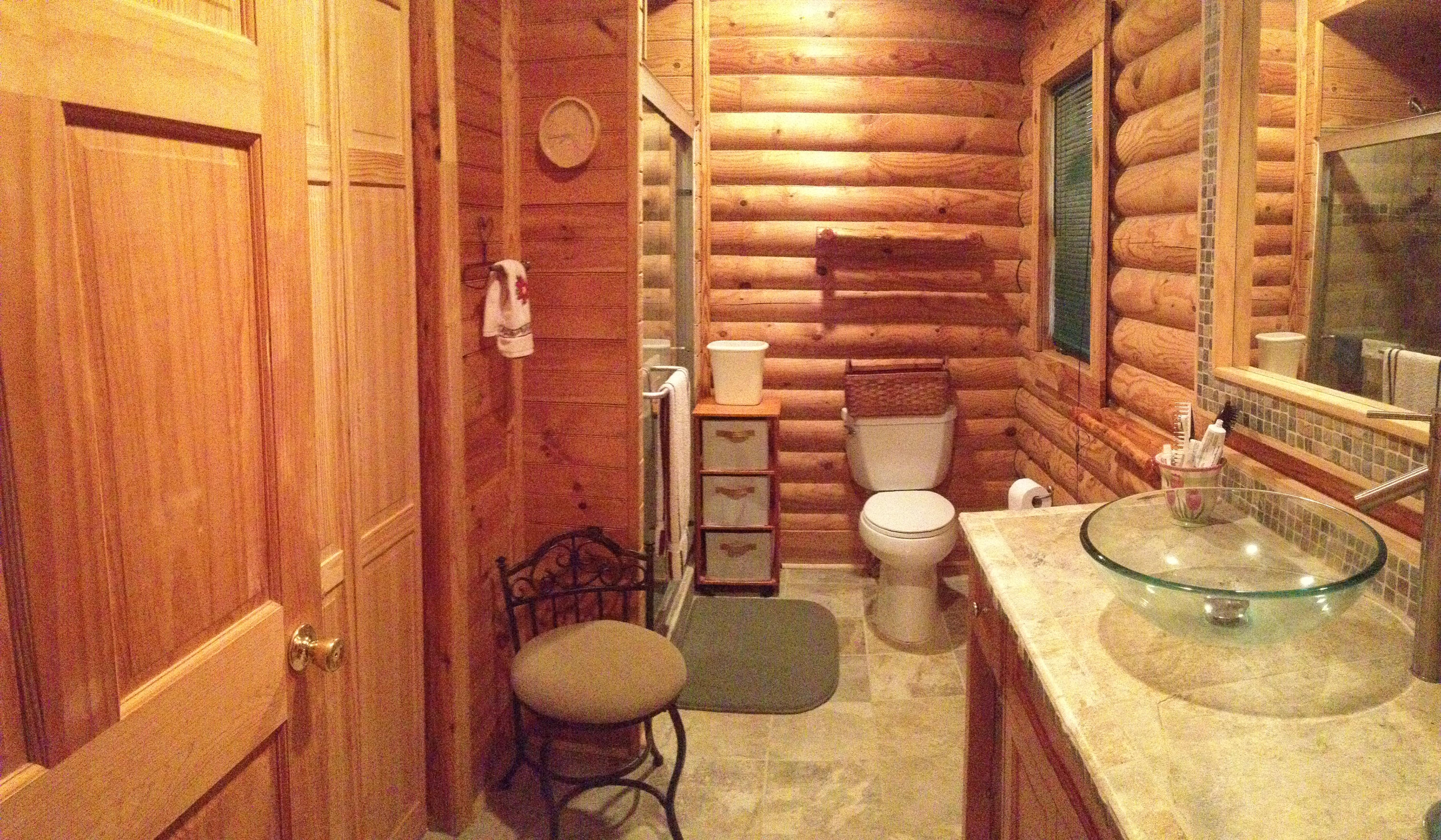 321 Samuel Drive Springfield, SC 29146 - Photo 7 of 17 Master Bathroom