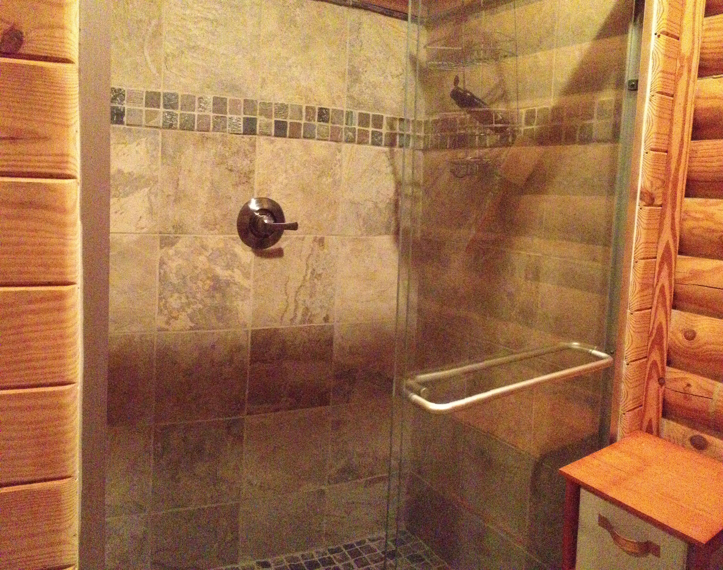 321 Samuel Drive Springfield, SC 29146 - Photo 8 of 17 Master Bathroom Shower