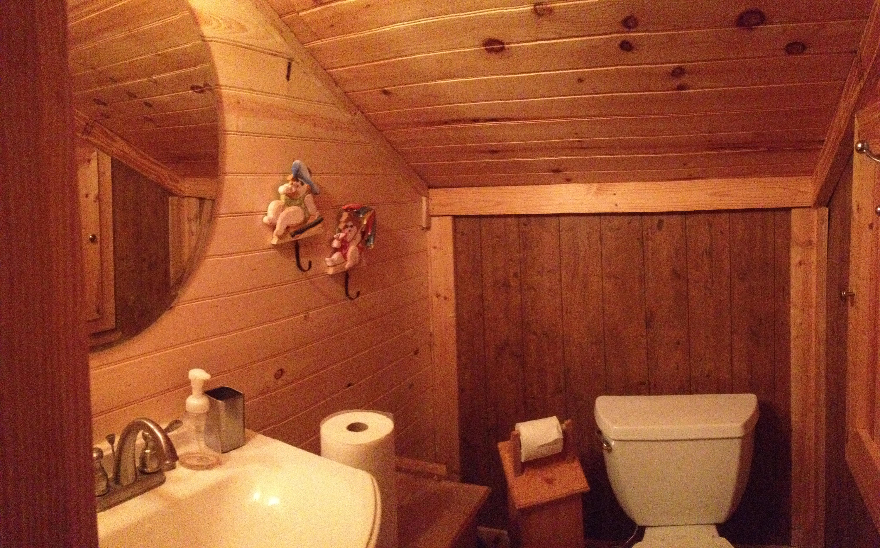321 Samuel Drive Springfield, SC 29146 - Photo 10 of 17 Half Bath upstairs