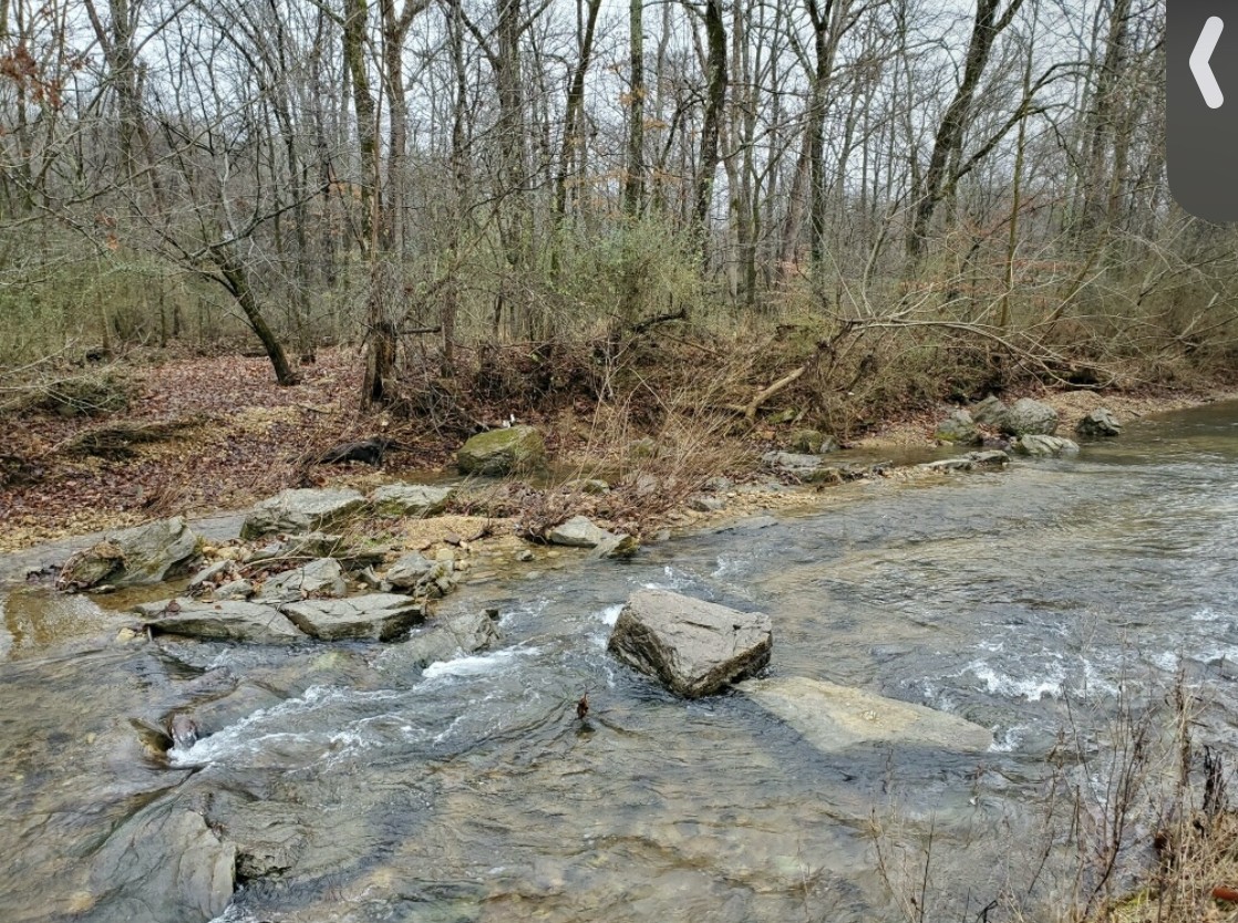 907 Rockhouse Road Hohenwald, TN 38462 - Photo 33 of 57 Gallery Image 33