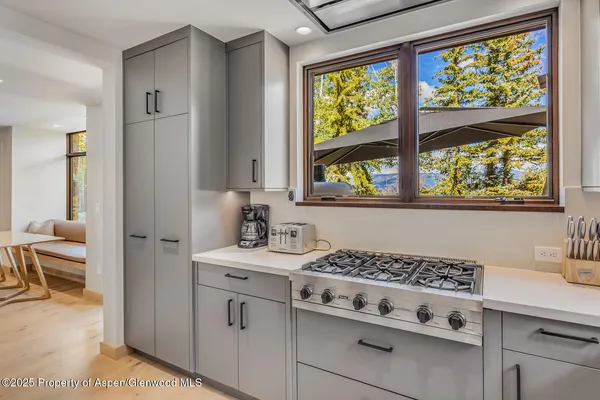 $300,000 | 511-563 Edgewood Lane, Snowmass Village, CO 81615