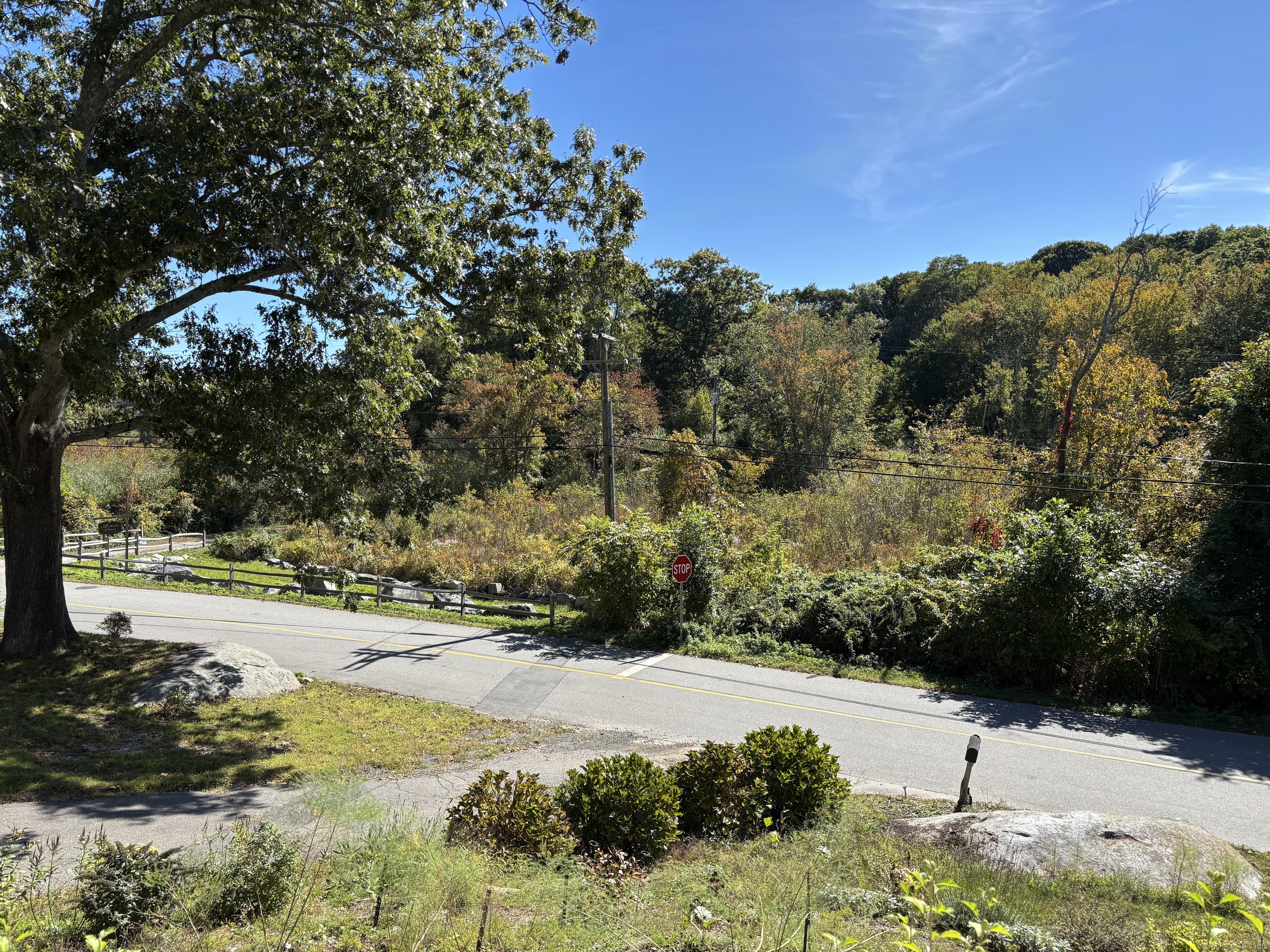 21 River Lane Deep River, CT 06417 - Photo 1 of 1 a view of a yard with a tree