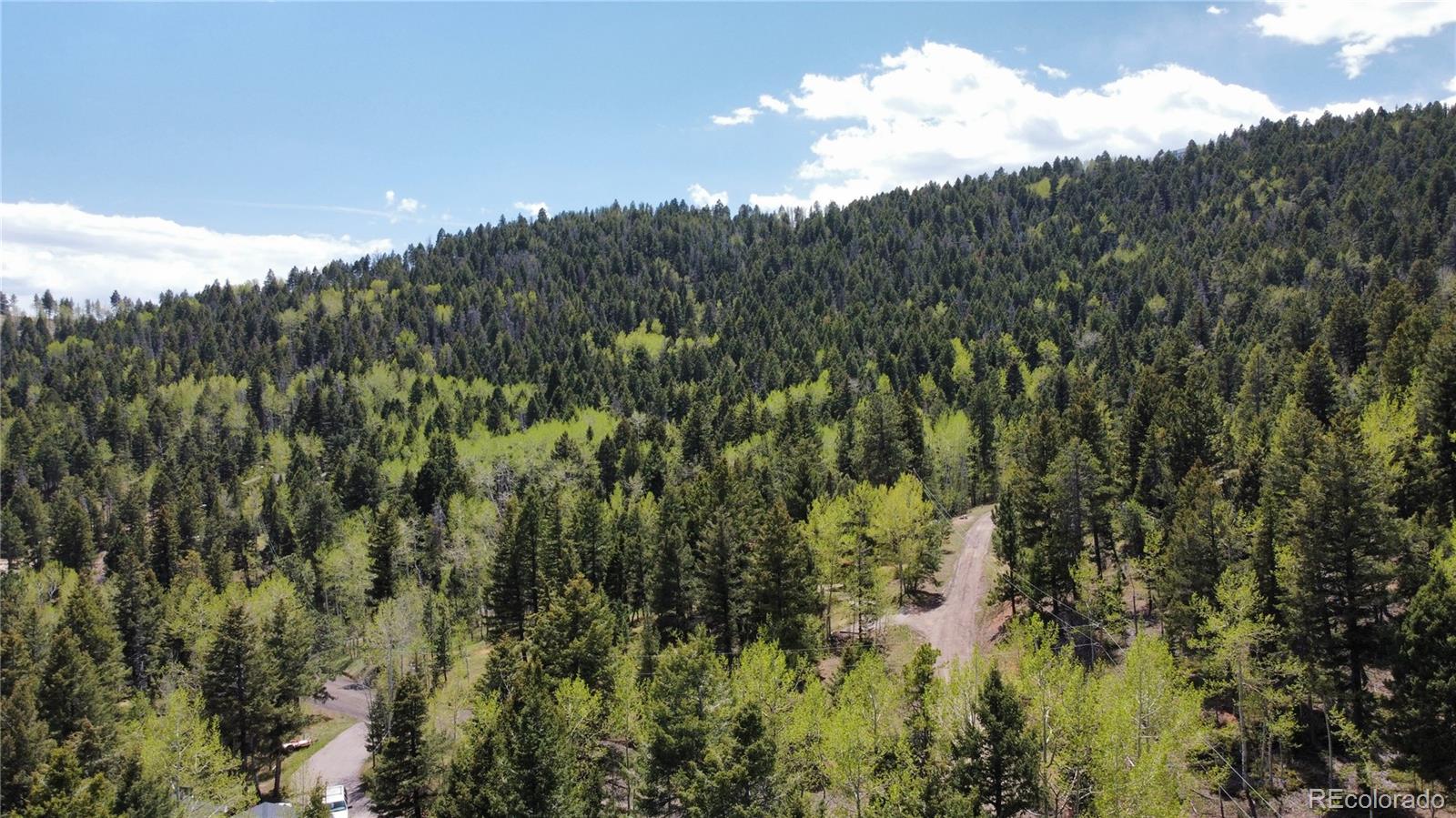 19653 Silver Ranch Road Conifer, CO 80433 - Photo 39 of 43