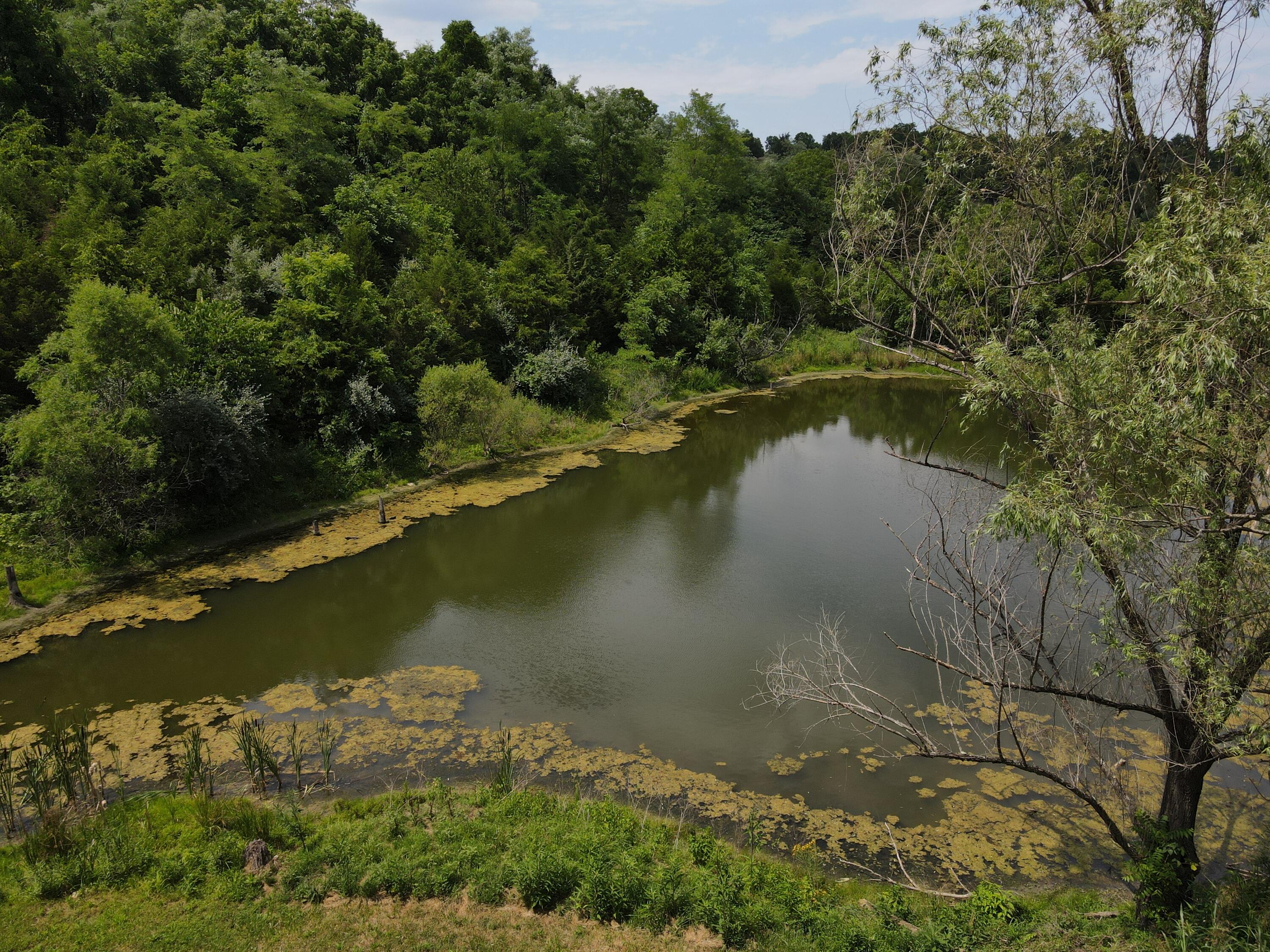2344 Whitson Road Cynthiana, KY 41031 - Photo 39 of 39 dji_fly_20240709_150838_117_172055214597