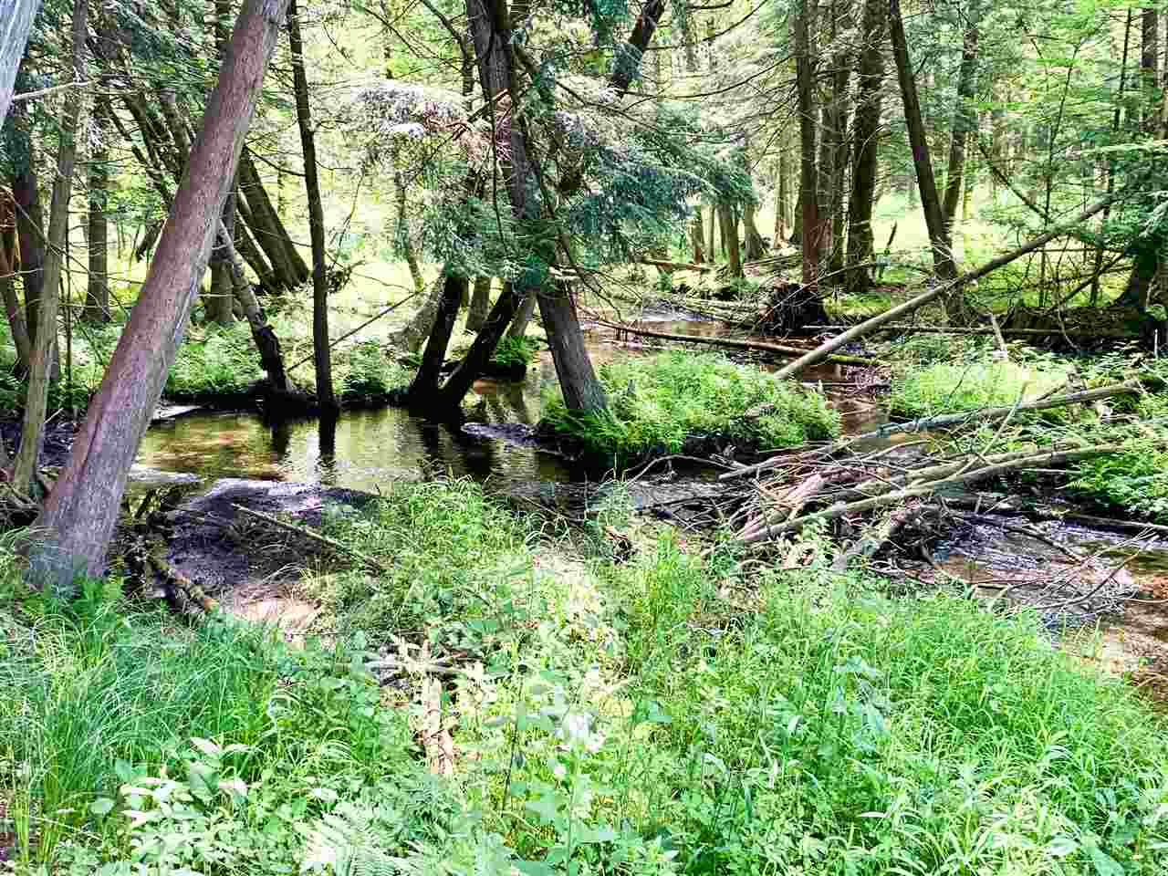 Tbd 7 Mile (86.47 Acres) Road Remus, MI 49340 - Photo 27 of 29