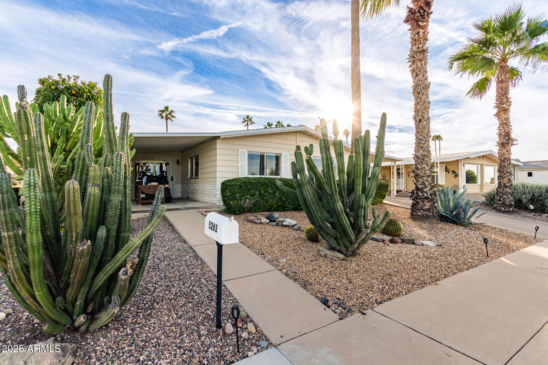5263 East McDowell Road Mesa, AZ 85215 - Photo 2 of 40 a view of a potted plants in front of a house
