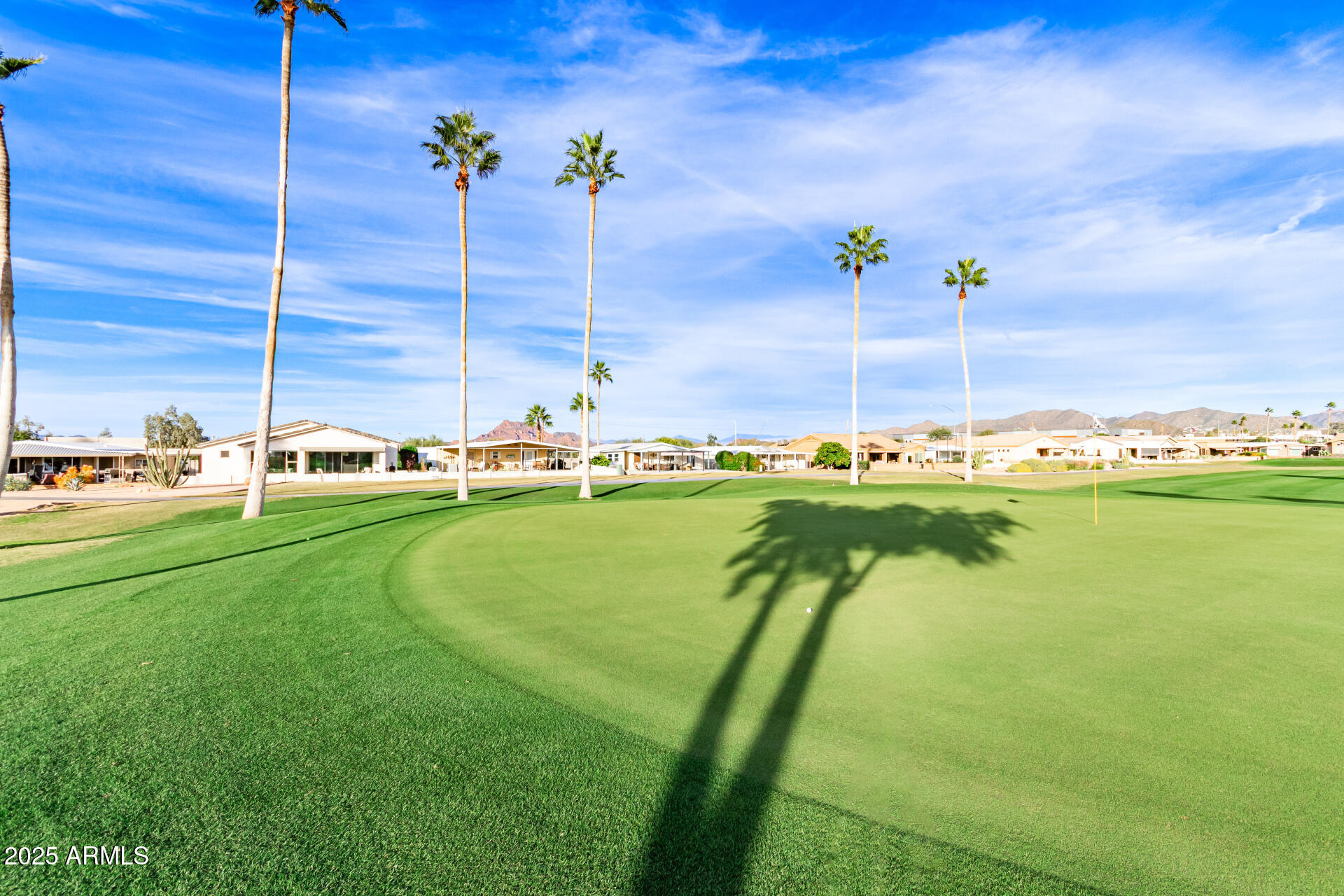 5263 East McDowell Road Mesa, AZ 85215 - Photo 22 of 40 a view of a garden with an outdoor space