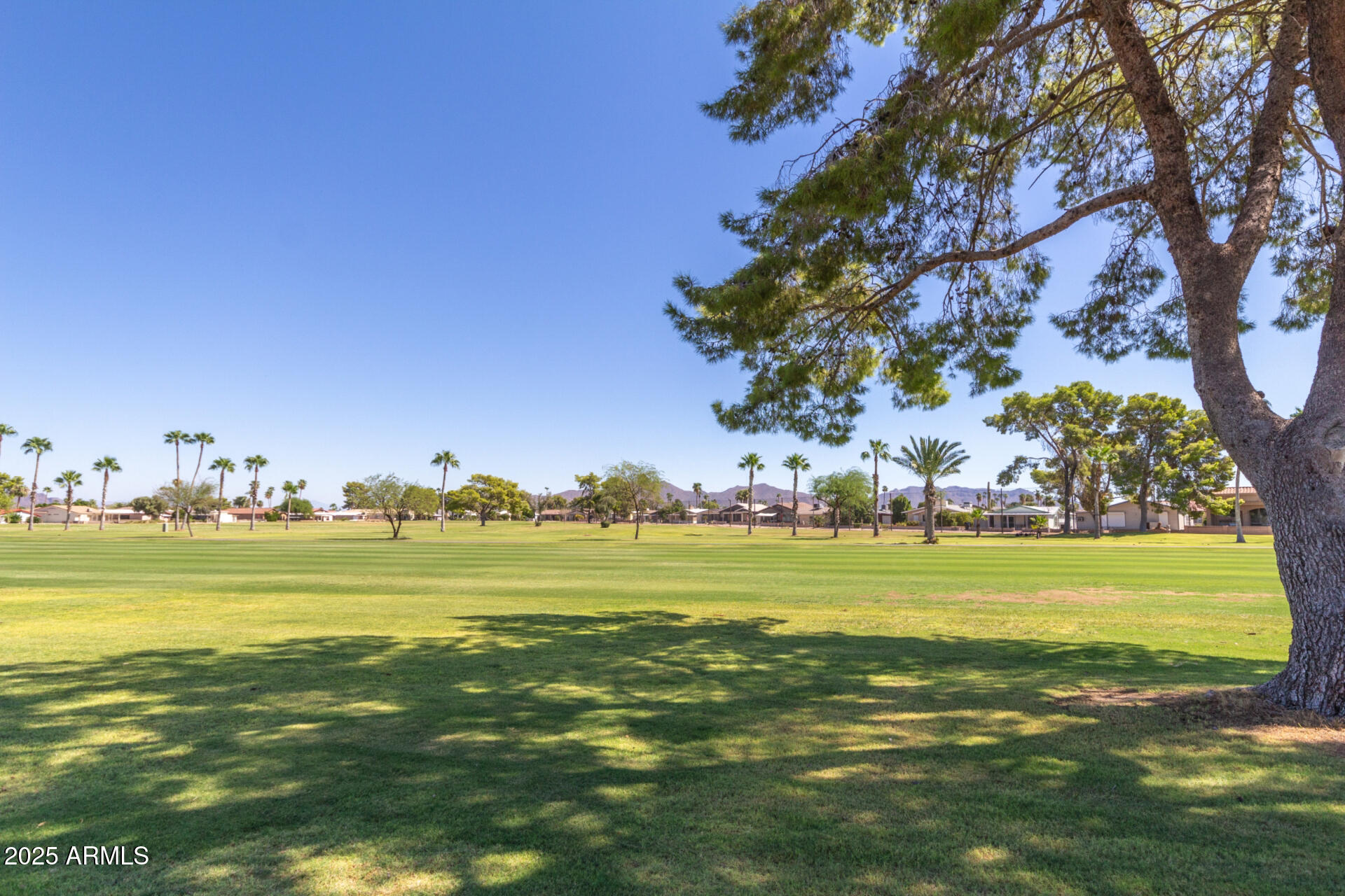 5263 East McDowell Road Mesa, AZ 85215 - Photo 23 of 40 a view of an ocean