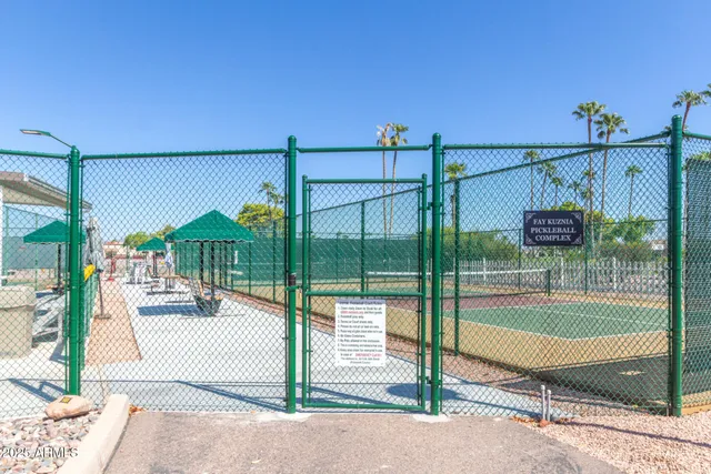 a view of a park with plants and trees