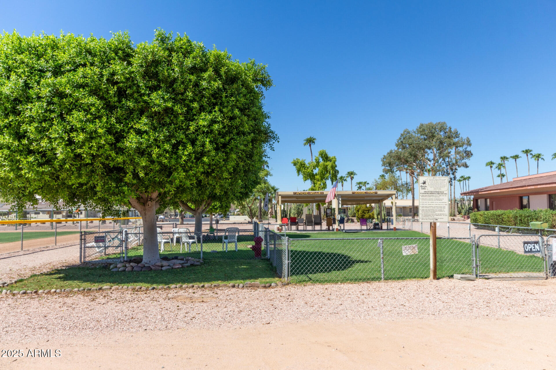5263 East McDowell Road Mesa, AZ 85215 - Photo 30 of 40 a view of a park with plants and trees