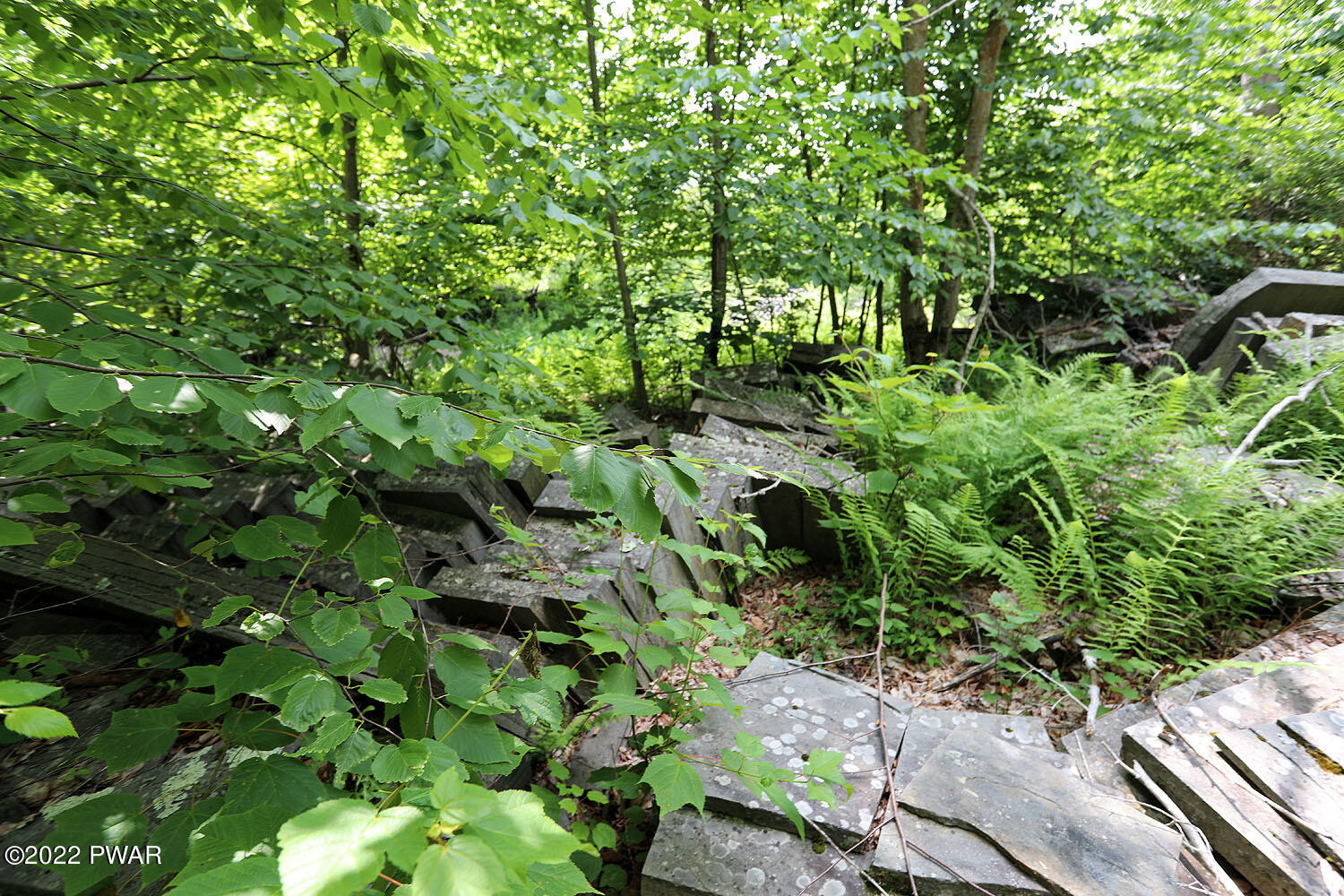 0 Minckler Mountain Road Damascus, PA 18415 - Photo 14 of 43