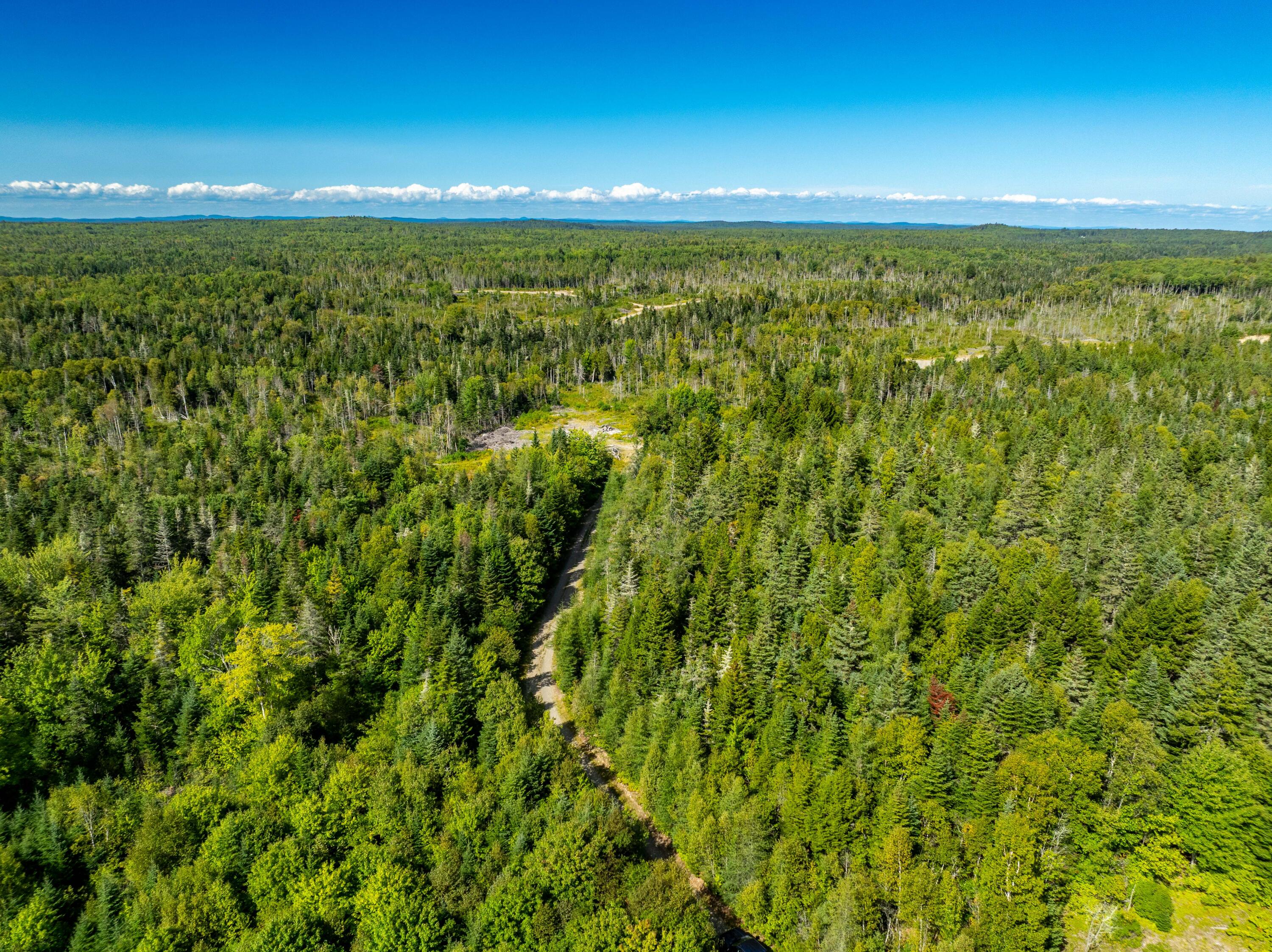 2 Map Lubec, ME 04652 - Photo 40 of 79 530+- acres Trescott Twp Maine (40 of 80