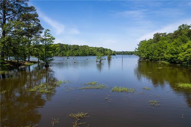 49 Ashton Road Boyce, LA 71409 - Photo 7 of 39