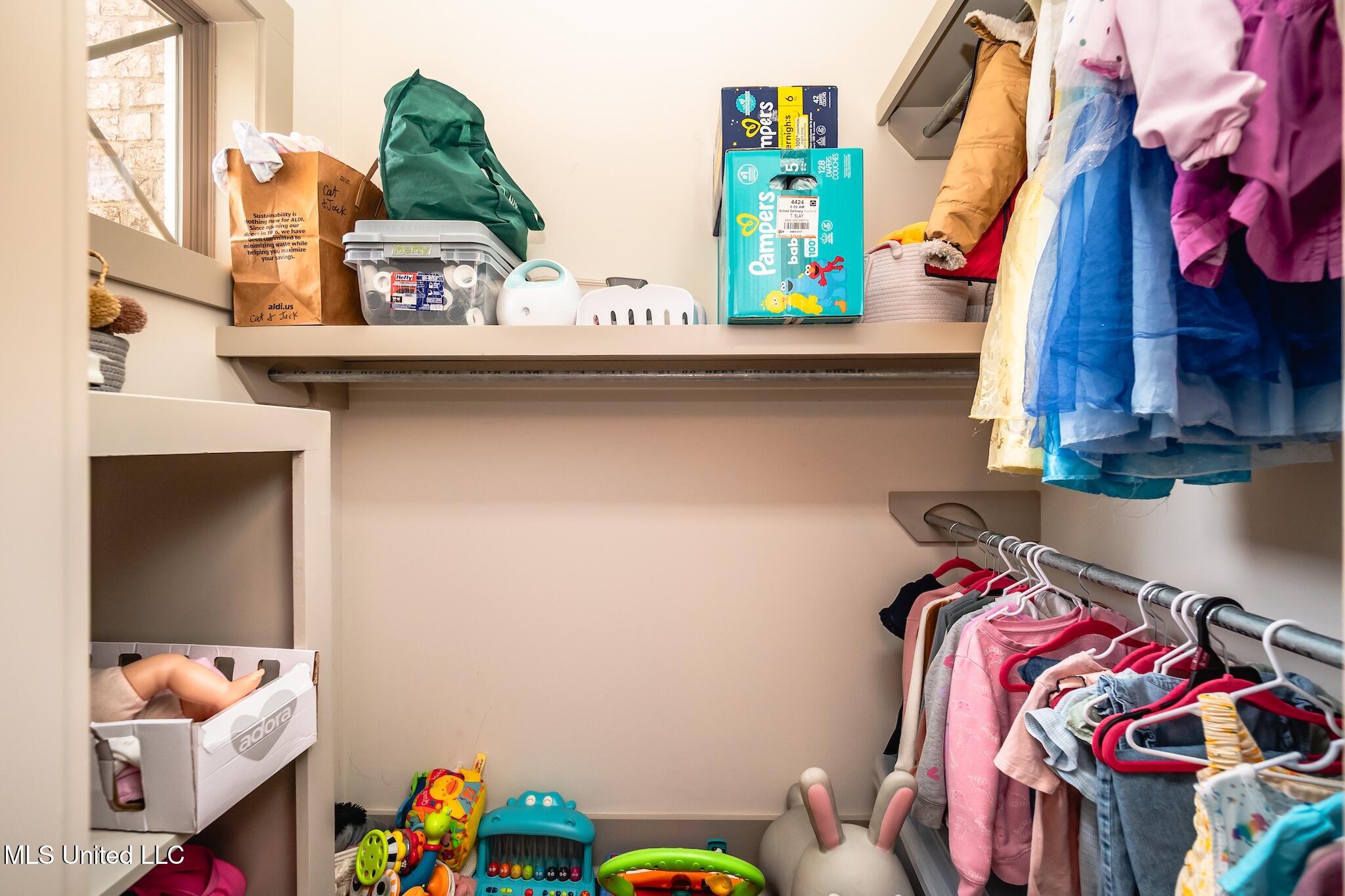 204 Grace Drive Flowood, MS 39232 - Photo 17 of 37 P6160019