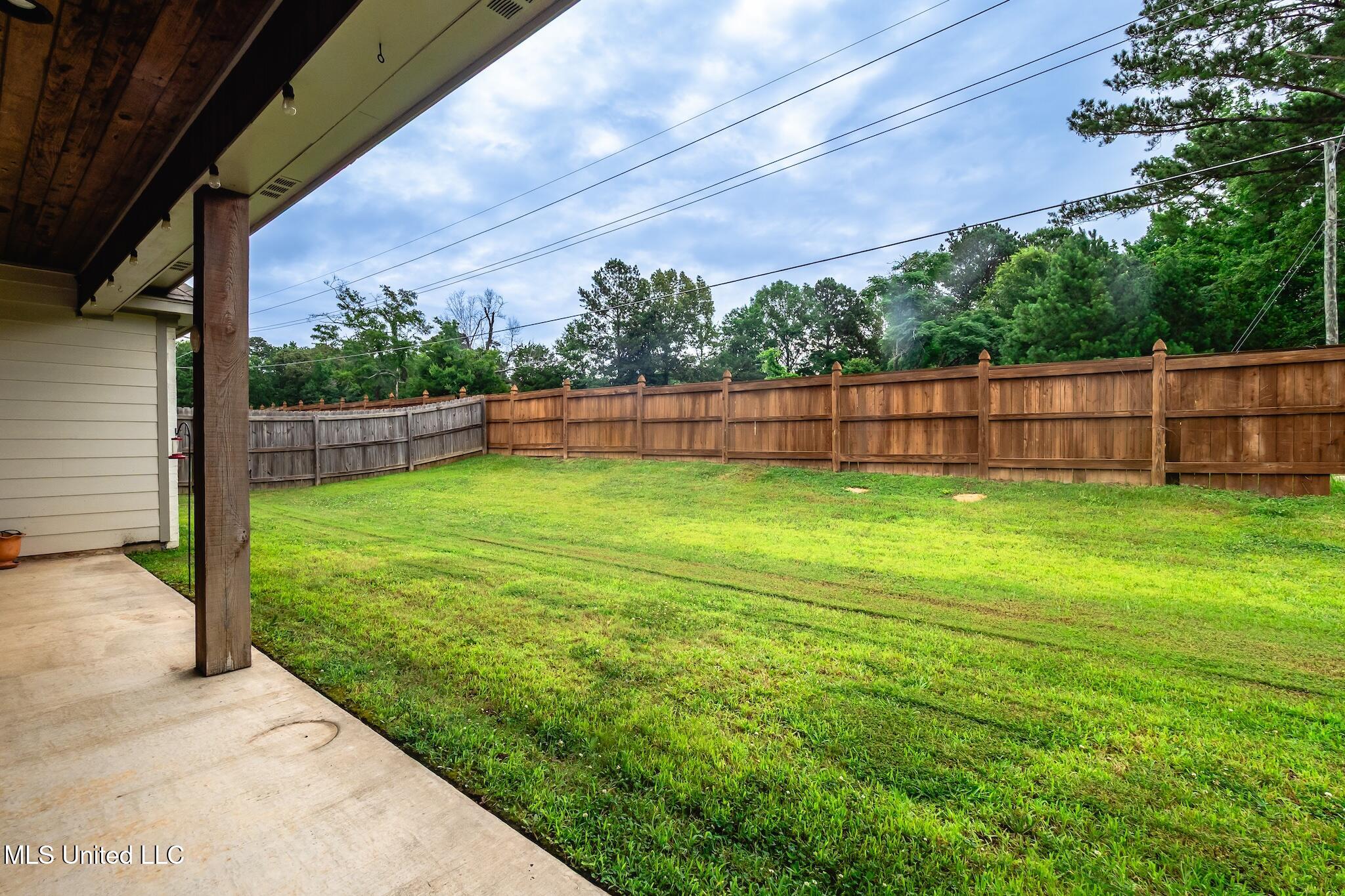 204 Grace Drive Flowood, MS 39232 - Photo 36 of 37 P6160040