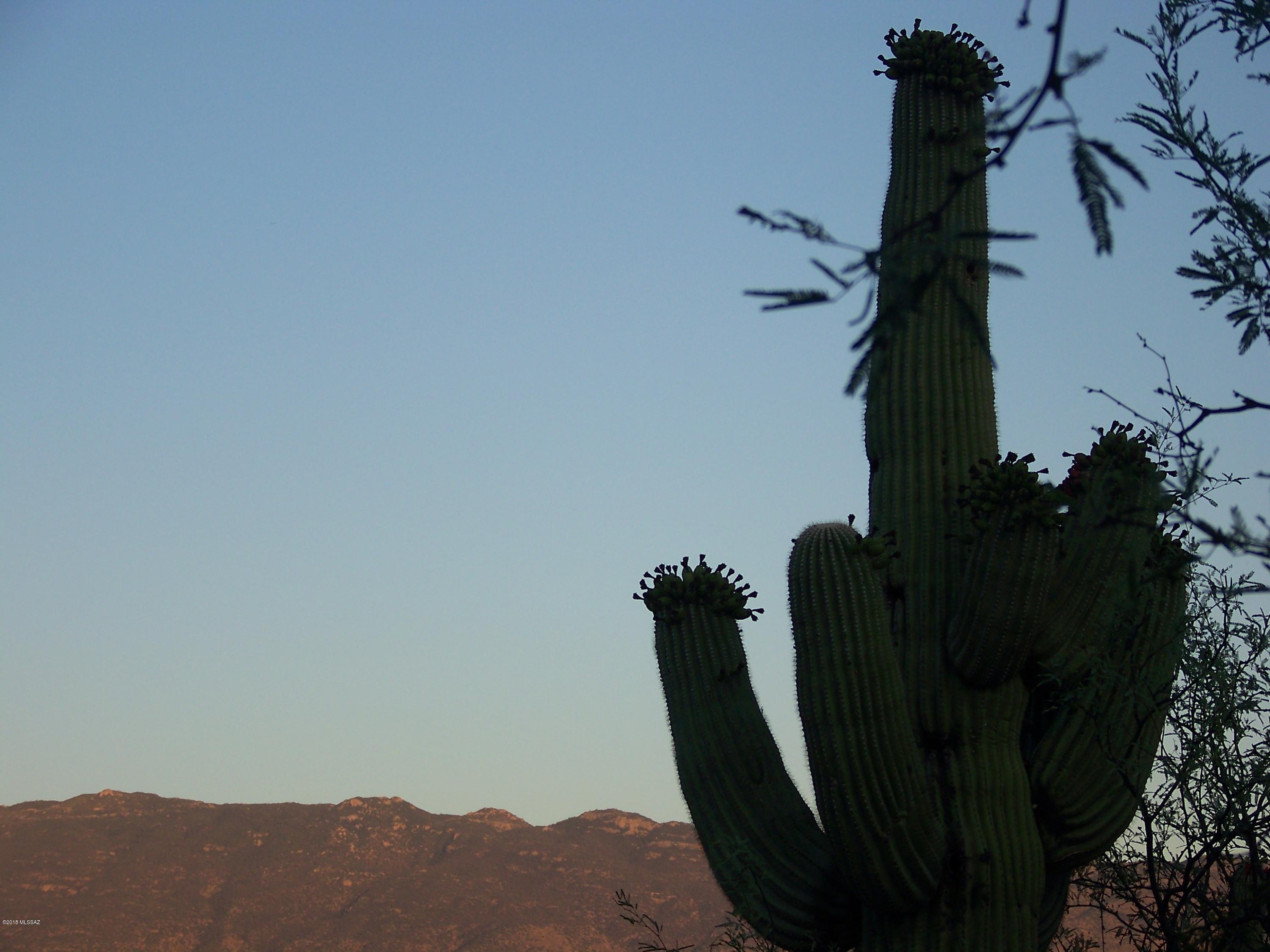 Tbd East Kleindale Road Tucson, AZ 85749 - Photo 12 of 45 Gallery Image 12