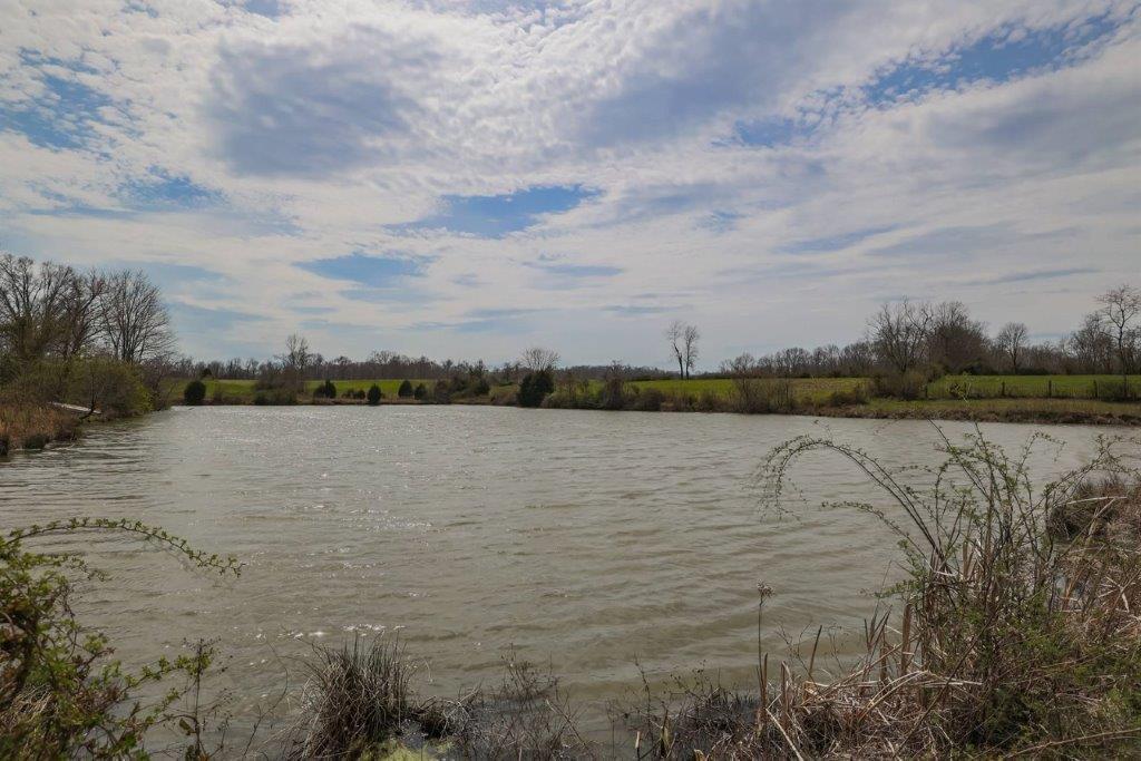 4231 Ky Highway Butler, KY 41006 - Photo 36 of 48 Gallery Image 36