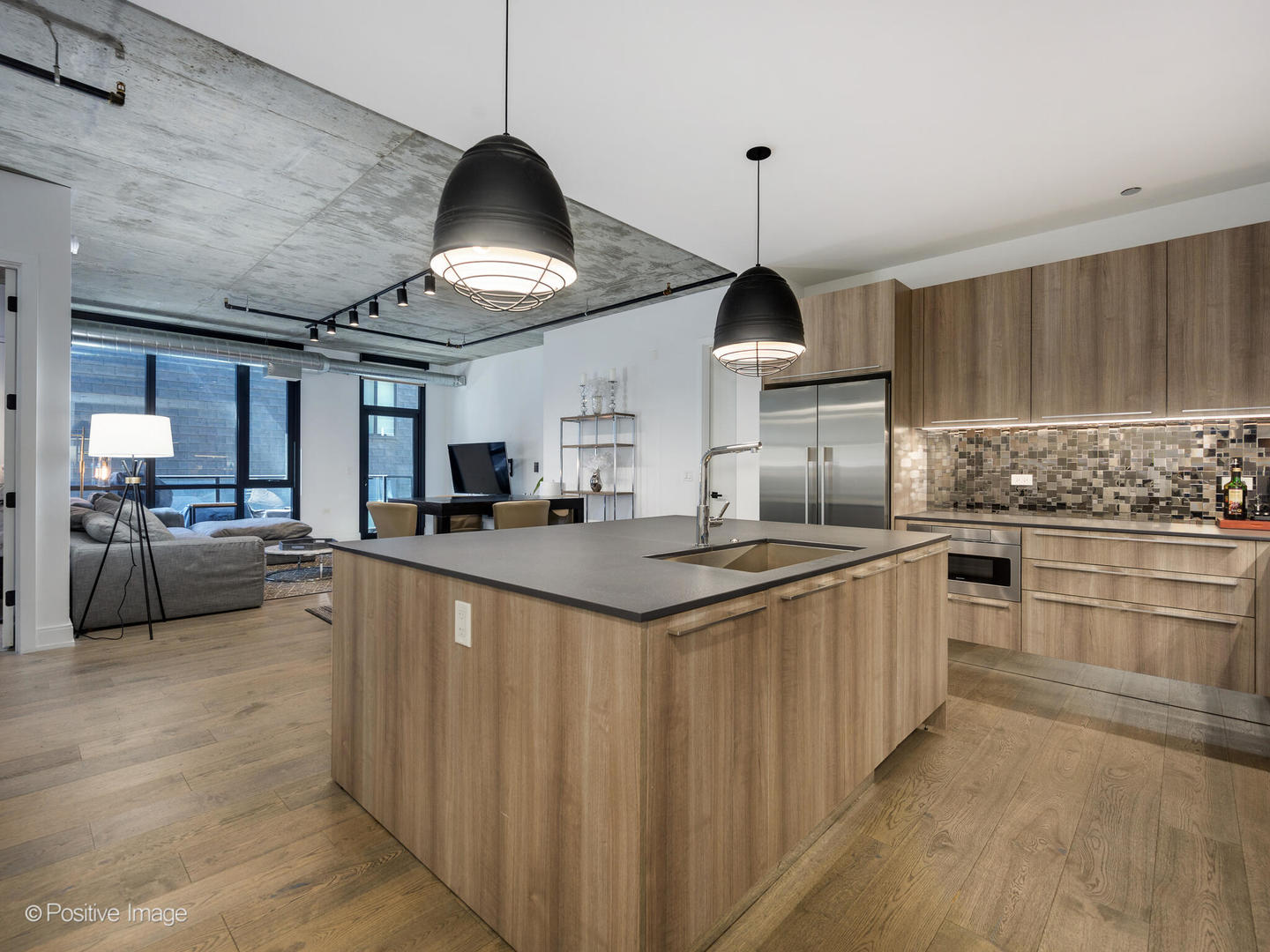 111 South Peoria Street, Unit 508 Chicago, IL 60607 - Photo 2 of 17