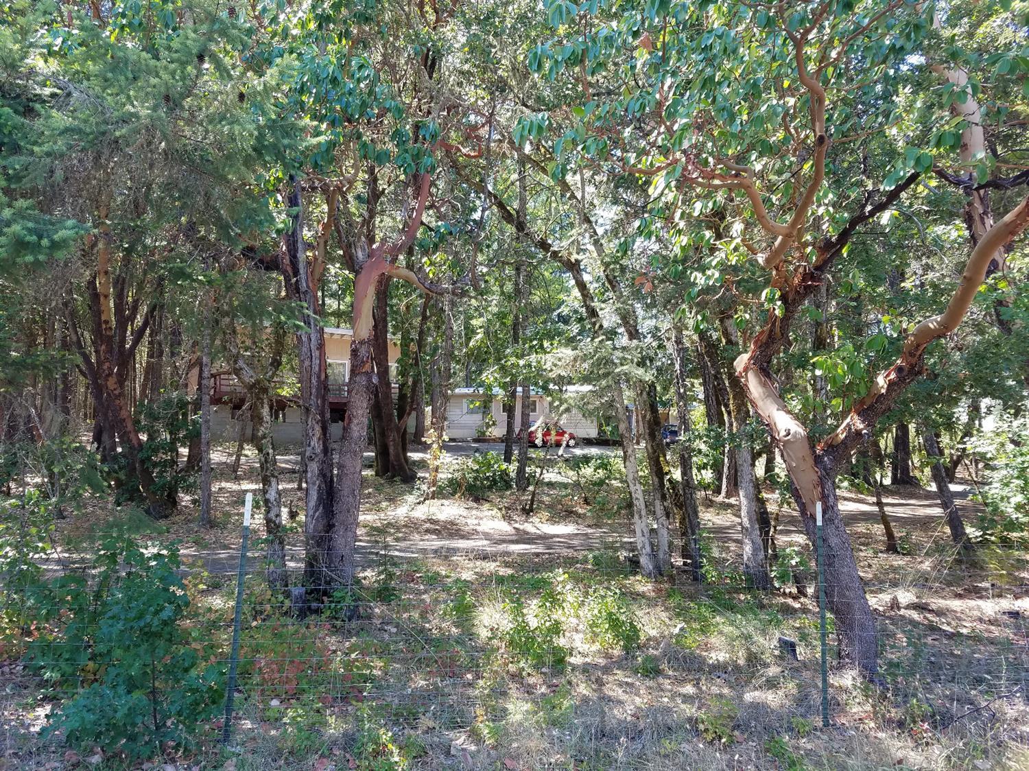 944 North Old Stage Road Cave Junction, OR 97523 - Photo 4 of 12 Additional Photo
