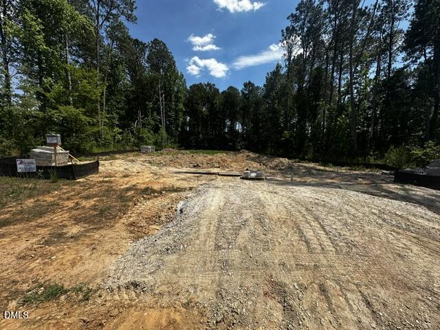 39 Deep Blue Trail Middlesex, NC 27557 - Photo 2 of 38