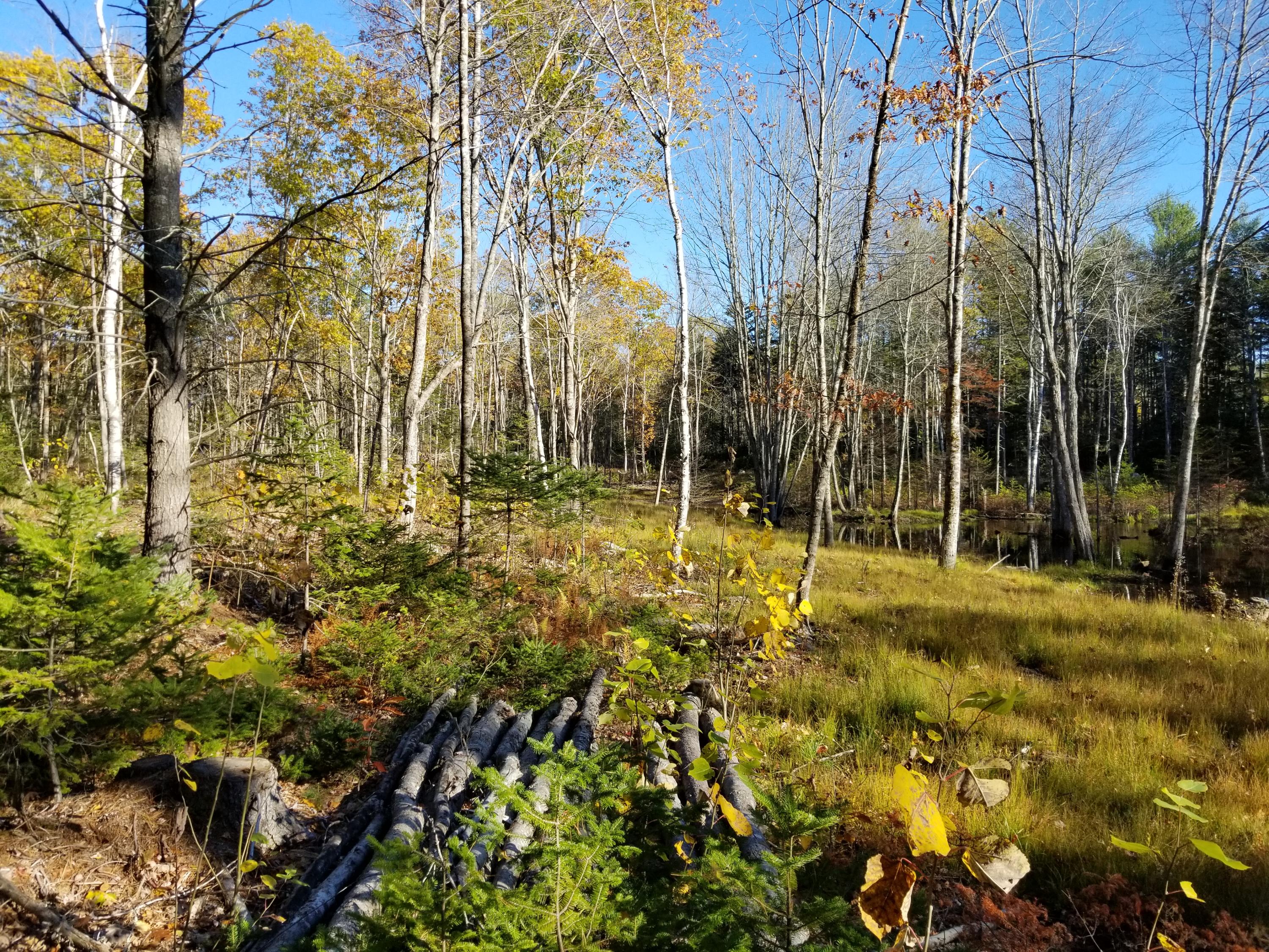 1161 Wagner Bridge Road Waldoboro, ME 04572 - Photo 31 of 33 20191019_153134