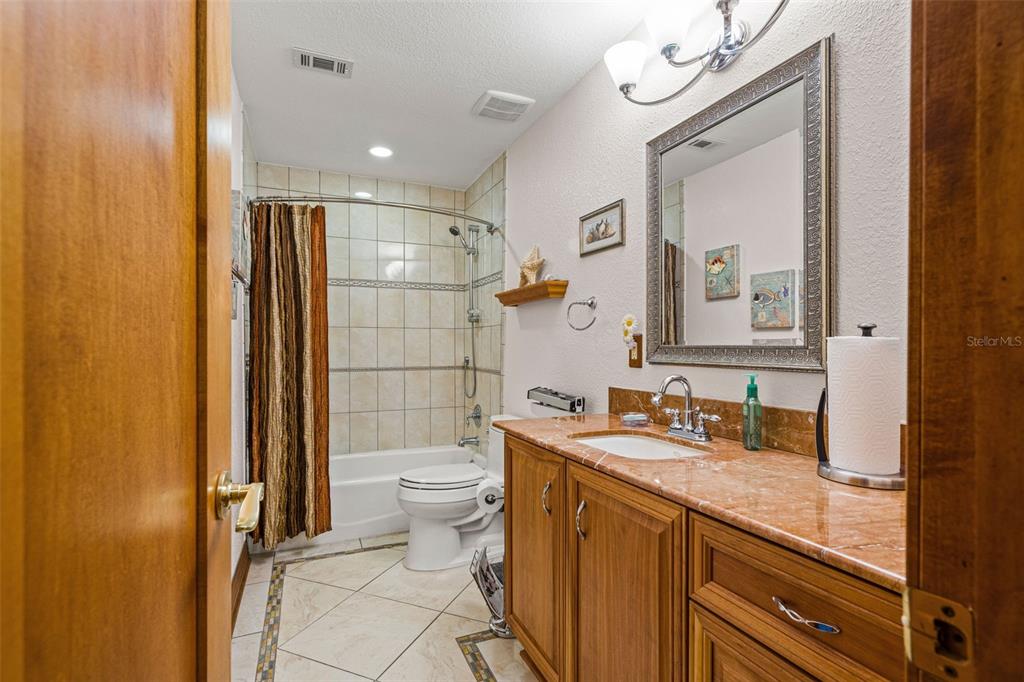 4252 Alpine Road Land O' Lakes, FL 34639 - Photo 12 of 64