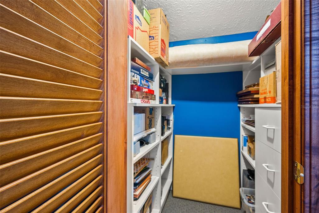 4252 Alpine Road Land O' Lakes, FL 34639 - Photo 14 of 64